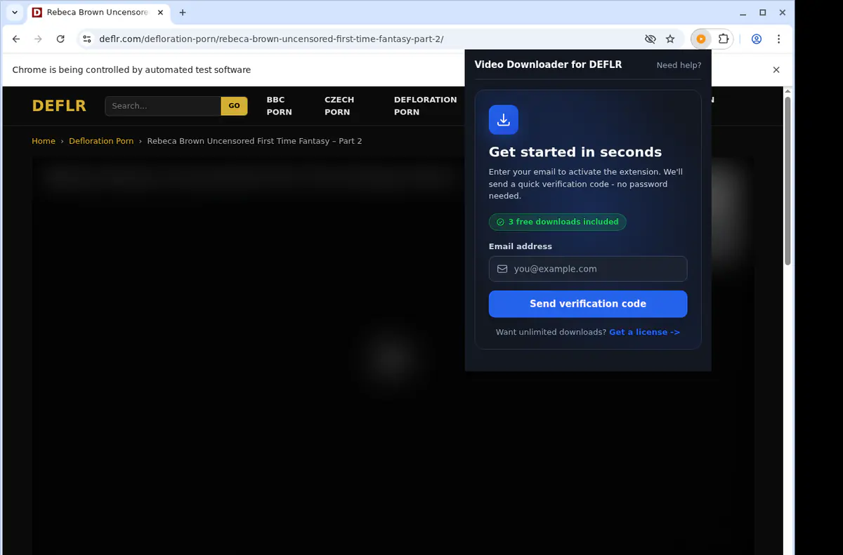 Deflr Video Downloader browser extension screenshot 5